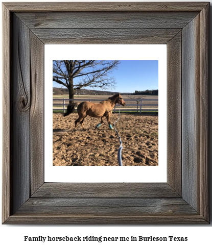 family horseback riding near me in Burleson, Texas